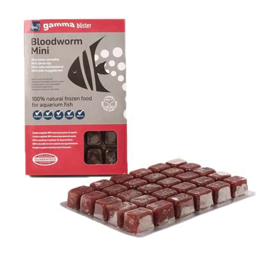 TMC Gamma Frozen Bloodworm (Mini) Blister Pack
